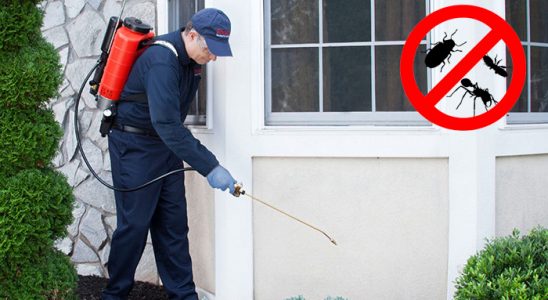 Tekirdağ Kemirgen İlaçlama böcek ilaçlama ve haşere kontrolü — ilaclama-tr.com